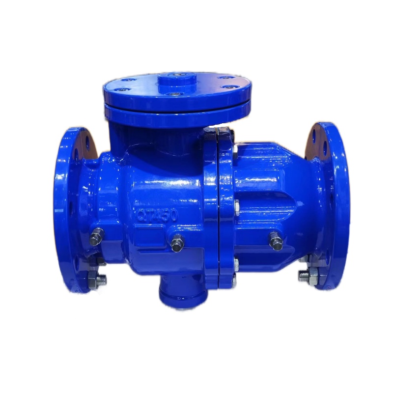 DSBP741X倒流防止器 DSBP741X倒流防止器